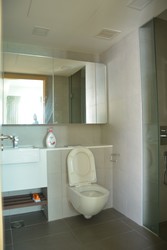 Eight Riversuites (D12), Condominium #217370381